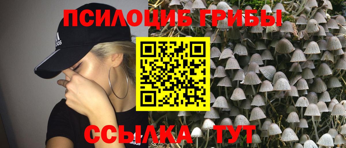Псилоцибиновые грибы мухоморы Железноводск