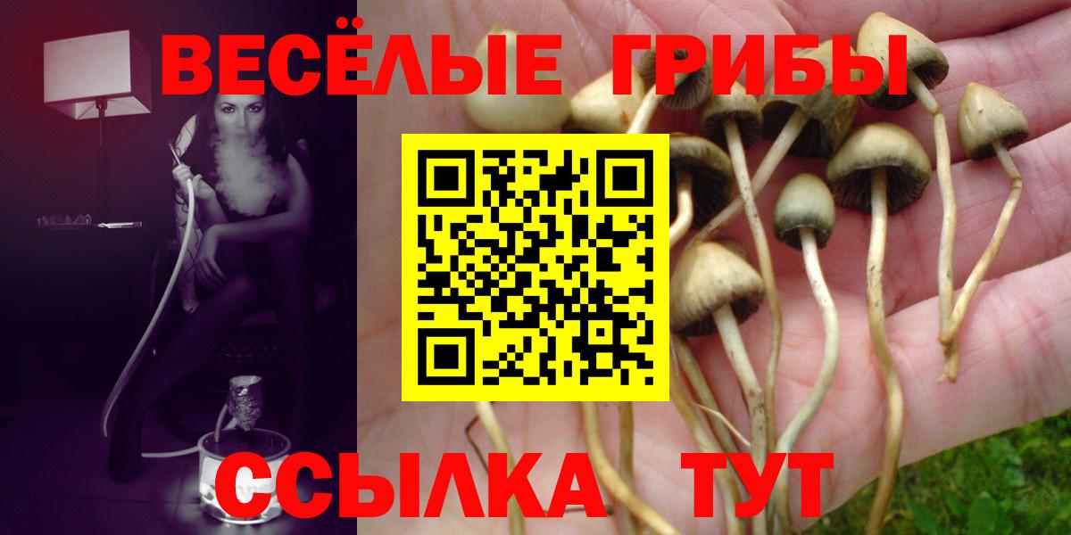 Галлюциногенные грибы GOLDEN TEACHER  Галлюциногенные грибы мухоморы  Железноводск  где продают   Вход с VPN 